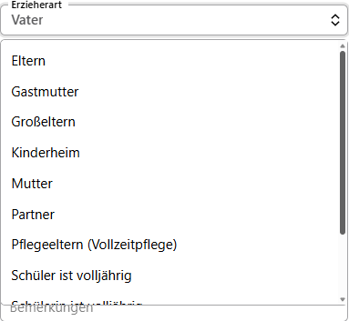 Auswahlfenster Erzieherart auswählen